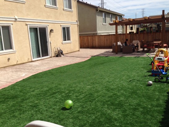 Artificial Grass Photos: Artificial Lawn Longview Heights, Washington Landscaping, Small Backyard Ideas