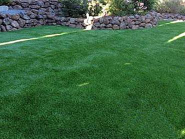 Artificial Grass Photos: Artificial Lawn Oroville, Washington Landscape Photos, Backyard Ideas