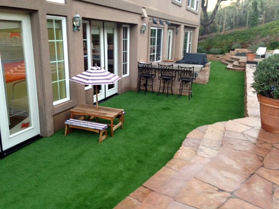 Artificial Grass Photos: Artificial Lawn Port Townsend, Washington Lawn And Landscape, Backyard Landscaping Ideas