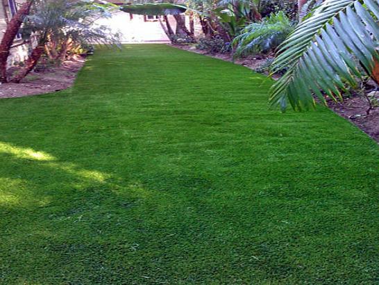 Artificial Grass Photos: Artificial Lawn Pullman, Washington Roof Top, Backyard Ideas