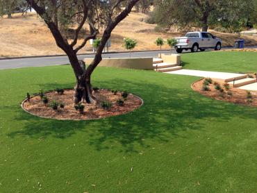 Artificial Grass Photos: Artificial Lawn Ritzville, Washington Lawns, Front Yard Ideas