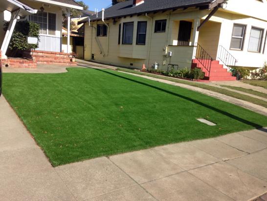 Artificial Grass Photos: Artificial Lawn Sekiu, Washington Backyard Deck Ideas, Front Yard