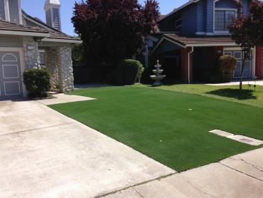 Artificial Grass Photos: Artificial Lawn Stanwood, Washington Lawns, Landscaping Ideas For Front Yard