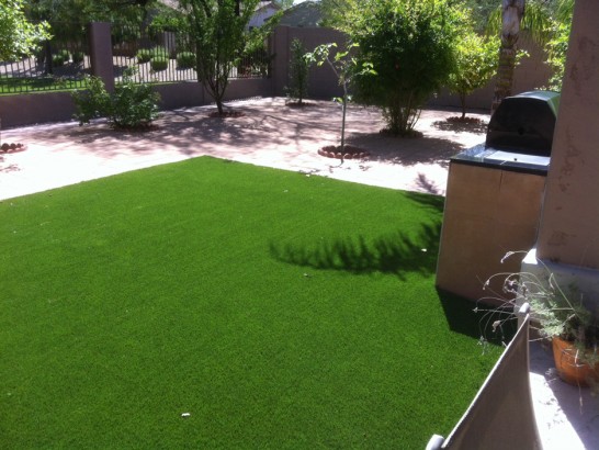 Artificial Grass Photos: Artificial Lawn Steilacoom, Washington Landscape Ideas, Small Backyard Ideas
