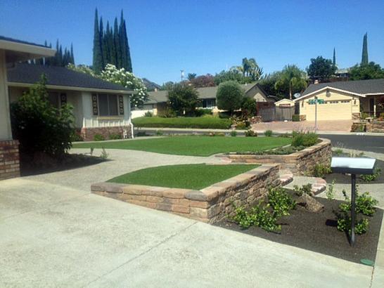 Artificial Grass Photos: Artificial Turf Aberdeen Gardens, Washington Design Ideas, Front Yard Landscaping