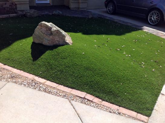 Artificial Grass Photos: Artificial Turf Chinook, Washington Backyard Playground