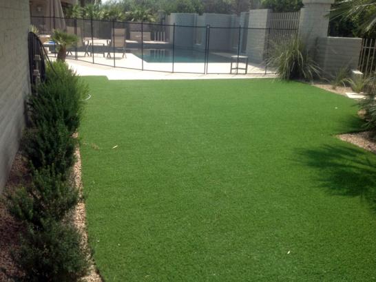 Artificial Grass Photos: Artificial Turf Conconully, Washington Lawn And Garden, Natural Swimming Pools