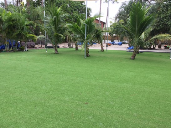 Artificial Grass Photos: Artificial Turf Cost Belfair, Washington Design Ideas, Commercial Landscape