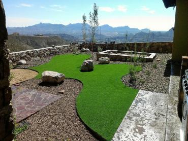 Artificial Grass Photos: Artificial Turf Cost Castle Rock, Washington Design Ideas, Backyard Landscape Ideas