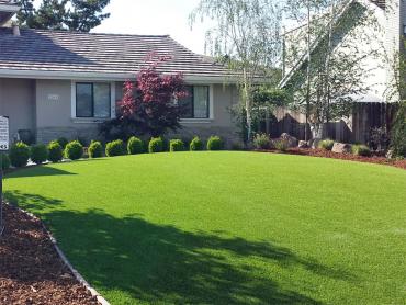 Artificial Grass Photos: Artificial Turf Cost Clarkston Heights-Vineland, Washington Backyard Playground, Small Front Yard Landscaping