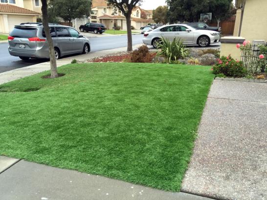 Artificial Grass Photos: Artificial Turf Cost East Hill-Meridian, Washington Gardeners, Front Yard Ideas