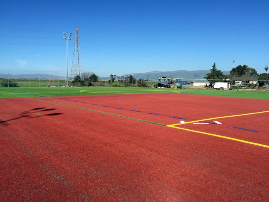 Artificial Grass Photos: Artificial Turf Cost Edgewood, Washington Sports Athority