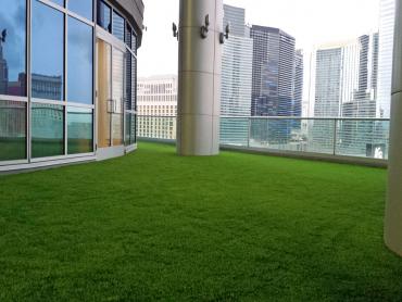 Artificial Grass Photos: Artificial Turf Cost Highland, Washington Backyard Playground, Commercial Landscape