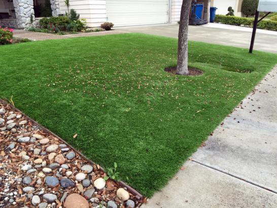 Artificial Grass Photos: Artificial Turf Cost Inglewood-Finn Hill, Washington Paver Patio, Front Yard