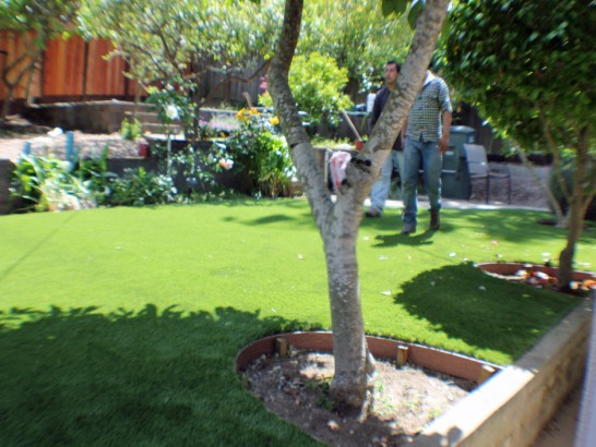 Artificial Grass Photos: Artificial Turf Cost Pacific, Washington Backyard Deck Ideas, Small Backyard Ideas