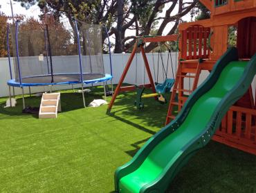 Artificial Grass Photos: Artificial Turf Cost Tonasket, Washington Home And Garden, Backyard