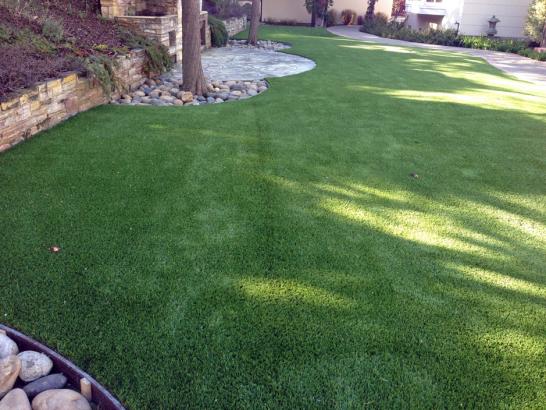 Artificial Grass Photos: Artificial Turf Cost Verlot, Washington Cat Playground, Backyard Landscaping