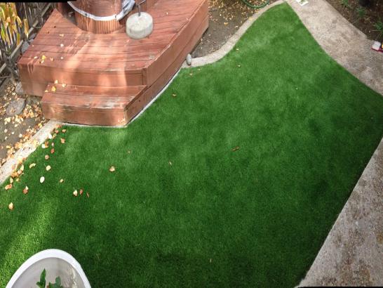 Artificial Grass Photos: Artificial Turf Cost Walla Walla, Washington Rooftop, Backyard Designs