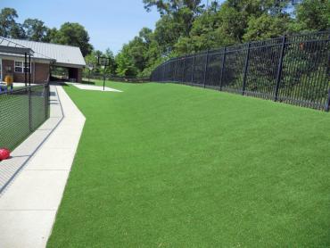 Artificial Grass Photos: Artificial Turf Country Homes, Washington Landscaping, Commercial Landscape