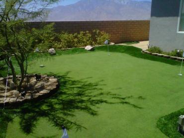 Artificial Grass Photos: Artificial Turf Fords Prairie, Washington Landscaping Business, Backyard Landscaping