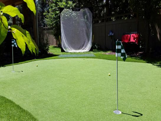 Artificial Grass Photos: Artificial Turf Installation Deming, Washington How To Build A Putting Green, Backyard Landscaping Ideas