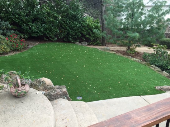 Artificial Grass Photos: Artificial Turf Installation Duvall, Washington City Landscape, Backyard Designs