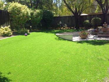 Artificial Grass Photos: Artificial Turf Installation East Renton Highlands, Washington City Landscape, Backyard Design