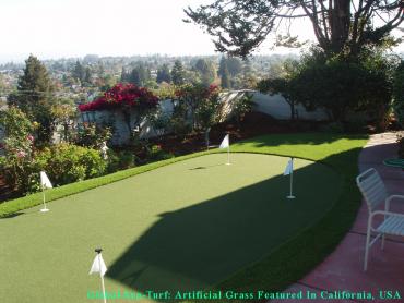 Artificial Grass Photos: Artificial Turf Installation Federal Way, Washington Indoor Putting Greens, Backyard Designs