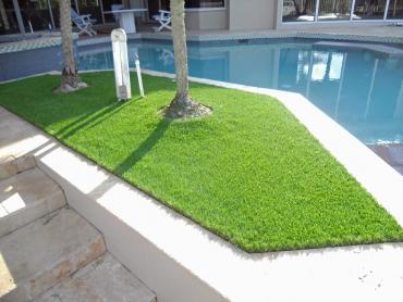 Artificial Grass Photos: Artificial Turf Installation Maple Valley, Washington Gardeners, Backyard Design