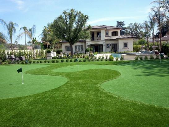 Artificial Grass Photos: Artificial Turf Installation Marlin, Washington Lawn And Garden, Landscaping Ideas For Front Yard