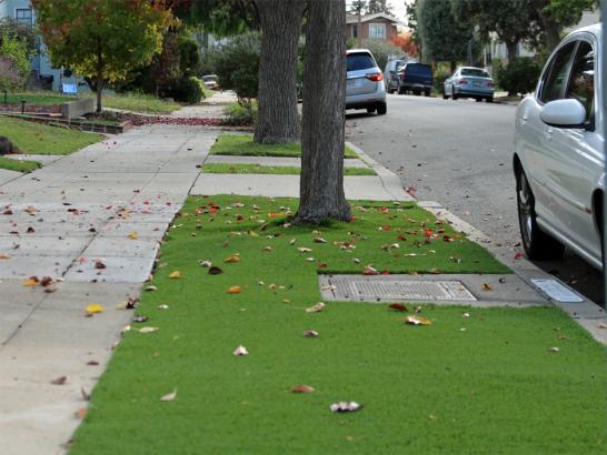 Artificial Grass Photos: Artificial Turf Installation Olympia, Washington Lawns, Small Front Yard Landscaping