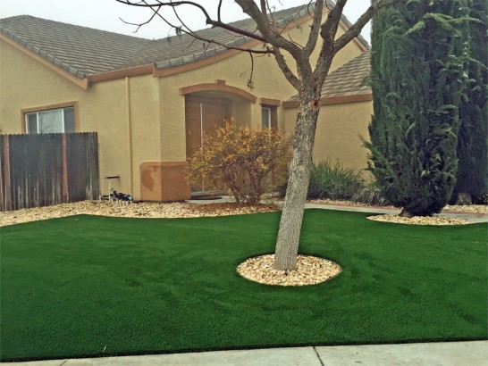 Artificial Grass Photos: Artificial Turf Installation Sudden Valley, Washington Landscaping, Front Yard Landscaping Ideas