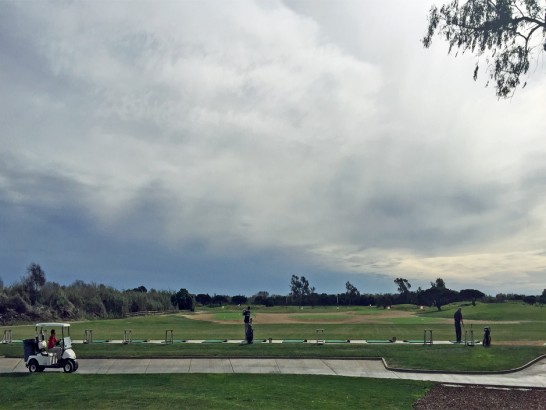 Artificial Grass Photos: Artificial Turf Installation Sumner, Washington Rooftop