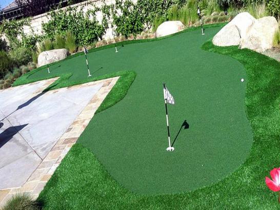 Artificial Grass Photos: Artificial Turf Issaquah, Washington Indoor Putting Greens, Backyard