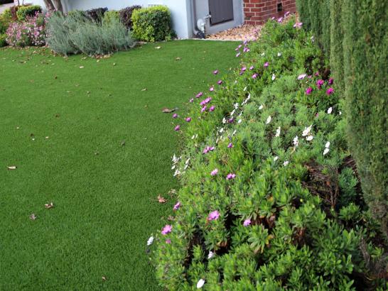 Artificial Grass Photos: Artificial Turf Kenmore, Washington City Landscape, Front Yard Landscape Ideas