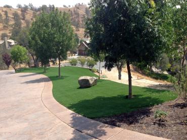 Artificial Grass Photos: Artificial Turf Lake Shore, Washington Lawn And Garden, Front Yard Design