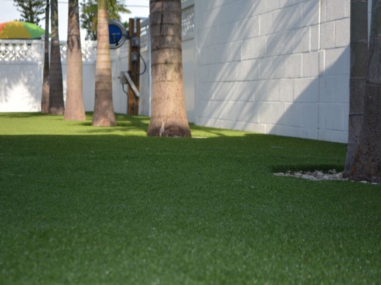 Artificial Grass Photos: Artificial Turf Medical Lake, Washington Gardeners, Commercial Landscape