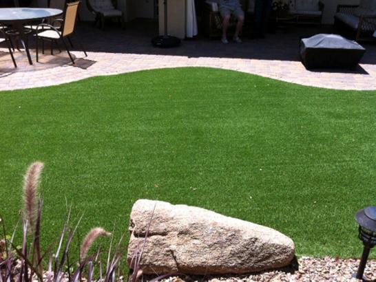 Artificial Grass Photos: Artificial Turf Naselle, Washington Lawn And Garden, Backyards