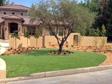 Artificial Grass Photos: Artificial Turf Pacific, Washington City Landscape, Front Yard