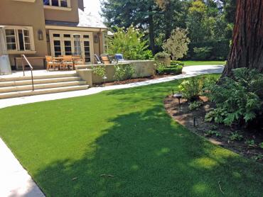 Artificial Grass Photos: Artificial Turf Ridgefield, Washington Rooftop, Backyards