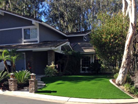 Artificial Grass Photos: Artificial Turf Silverdale, Washington Backyard Playground, Front Yard Landscaping