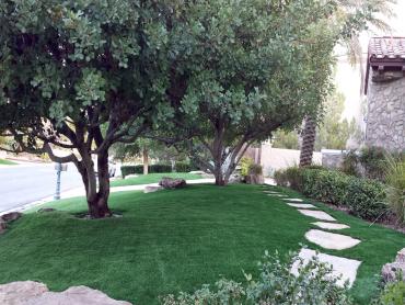 Artificial Grass Photos: Artificial Turf Sisco Heights, Washington Lawns, Landscaping Ideas For Front Yard