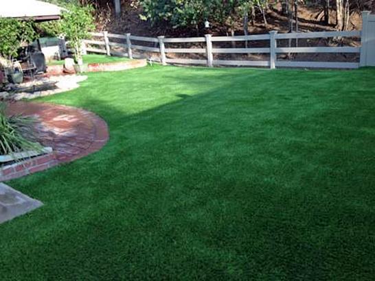 Artificial Turf Tri-Cities, Washington Landscaping, Backyards artificial grass