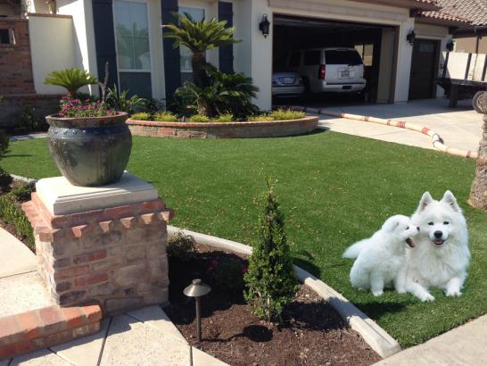 Artificial Grass For Dogs