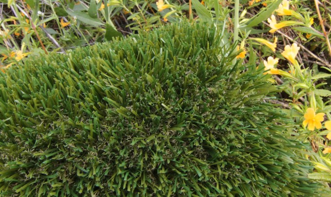 Double S-72 syntheticgrass Artificial Grass Washington