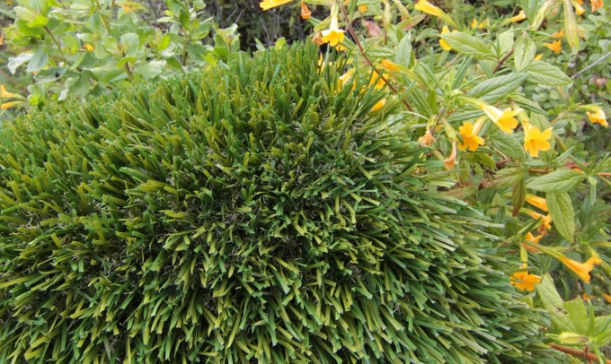 Double S-72 syntheticgrass Artificial Grass Washington
