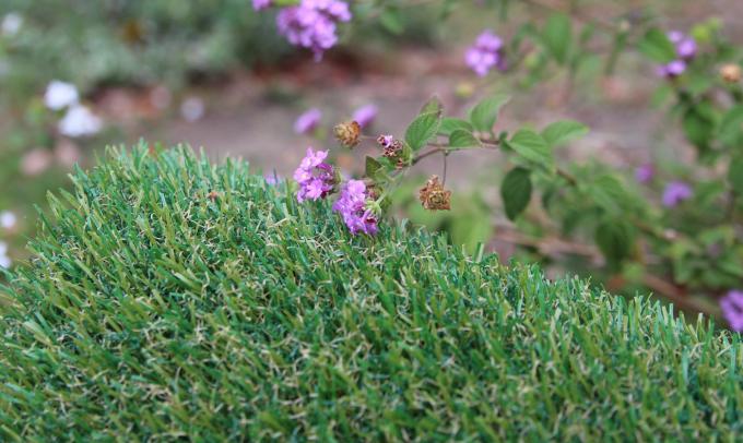 Fake Grass For Dogs