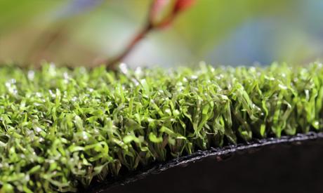 Putting Green Outdoor