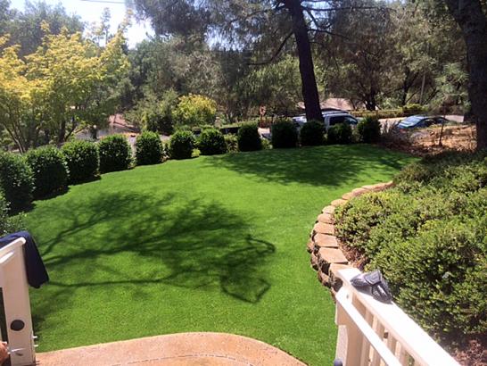 Artificial Grass Photos: Best Artificial Grass Ashford, Washington Landscape Design, Small Backyard Ideas