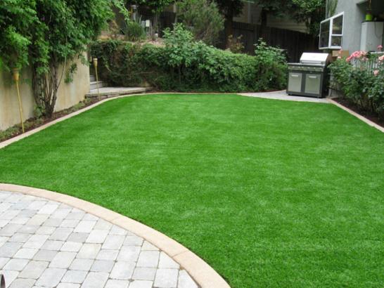 Artificial Grass Photos: Best Artificial Grass Cliffdell, Washington Landscape Rock